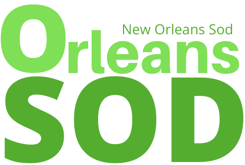 Orleans Sod