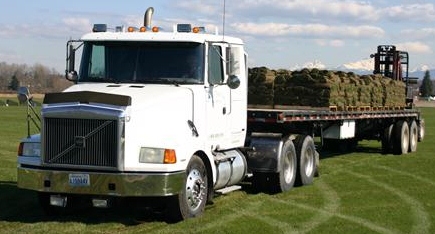 Turf Grass Sod Delivery in Baton Rouge, Denham Springs, South Louisiana