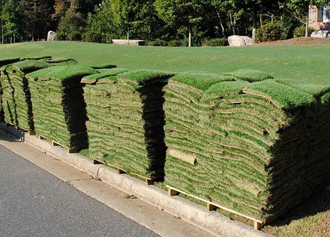 Pallets of grass sod for sale in New Orleans and South Louisiana