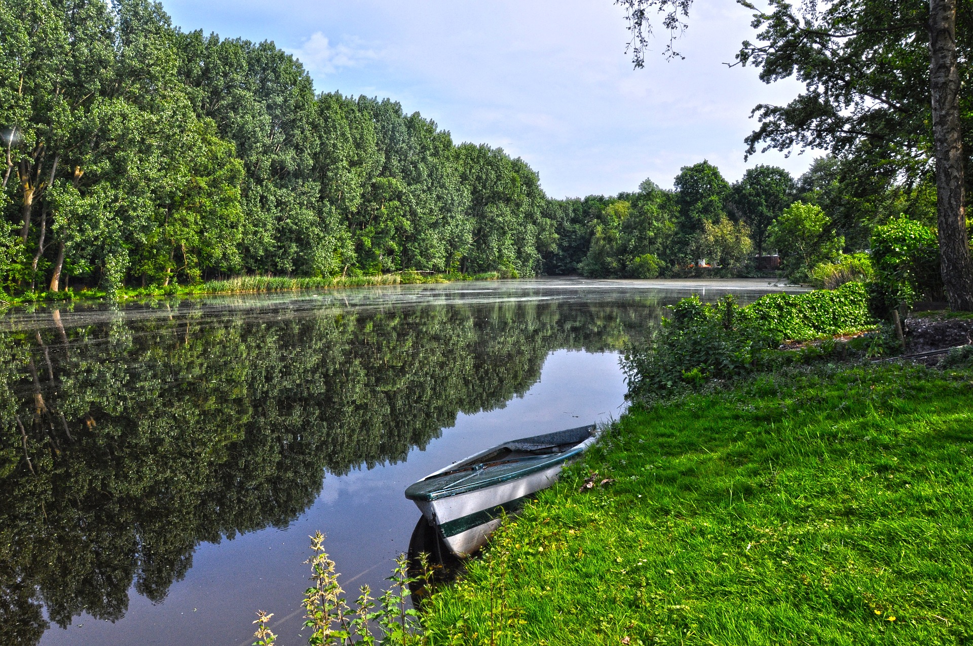 pond-with grass-and-boat